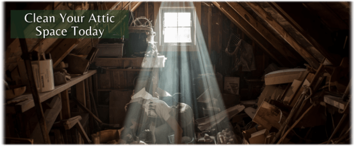 Attic Cleaning Trenton NJ